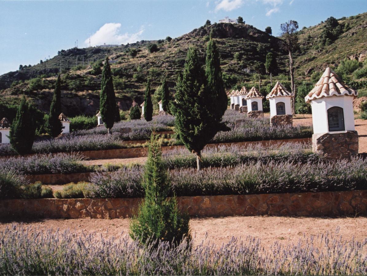 Apartamentos Rurales San Juan Castellnovo Buitenkant foto