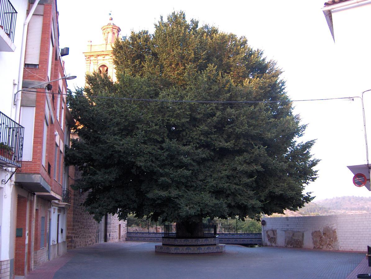 Apartamentos Rurales San Juan Castellnovo Buitenkant foto